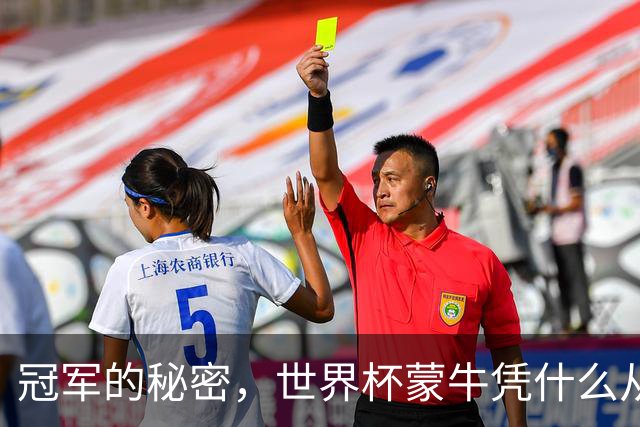 冠军的秘密，世界杯蒙牛凭什么从容不慌？