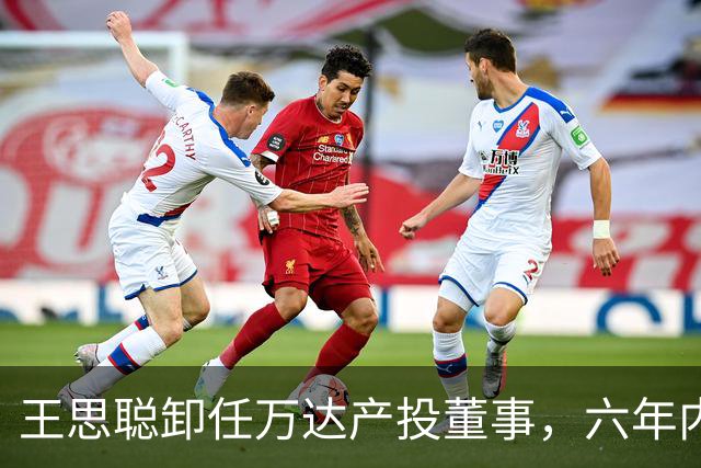 王思聪卸任万达产投董事，六年内已三度退出“万达系”决策层